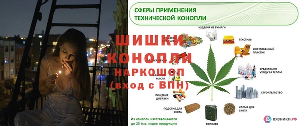 дурь Арсеньев
