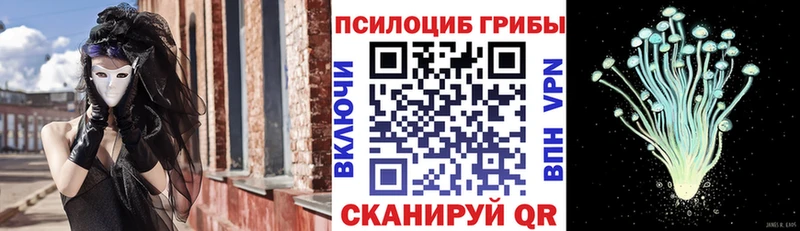 ОМГ ОМГ tor Арск Галлюциногенные грибы ЛСД